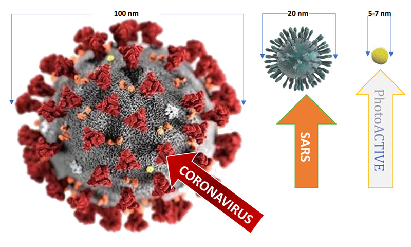 taille de photoactive en comparaison d'autres virus comme le covid 19