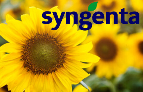 PhotoACTIVE déployé chez Syngenta, leader de la recherche liée à l'agriculture
