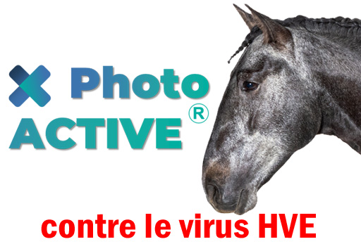photoactive et le virus herpes équin