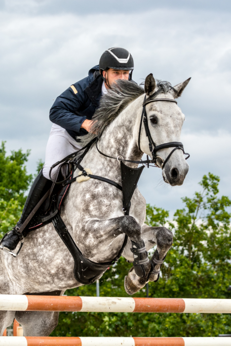 photoactive equine pour la désinfection des événements sportifs